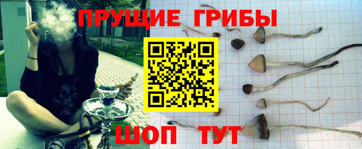 наркошоп  Галлюциногенные грибы прущие грибы  Вход с VPN  Можга 